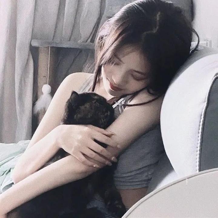 神经刀与飞天猫